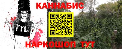 мяу мяу мука Баксан