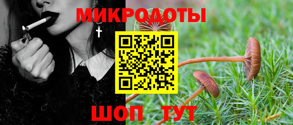 Воткинск  Псилоцибиновые грибы Psilocybine cubensis  Галлюциногенные грибы мухоморы  Вход с VPN 