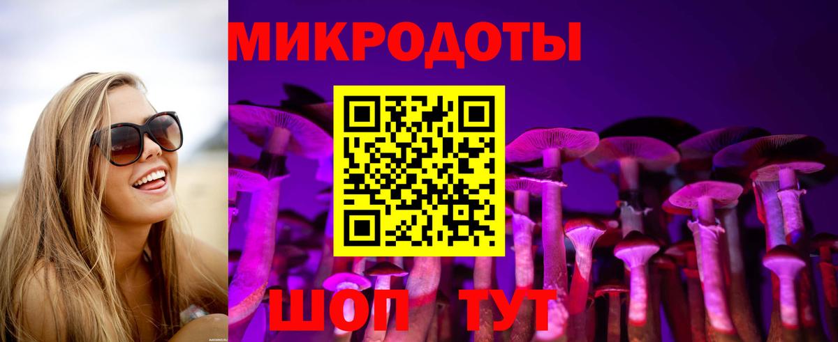 Галлюциногенные грибы Cubensis Воткинск